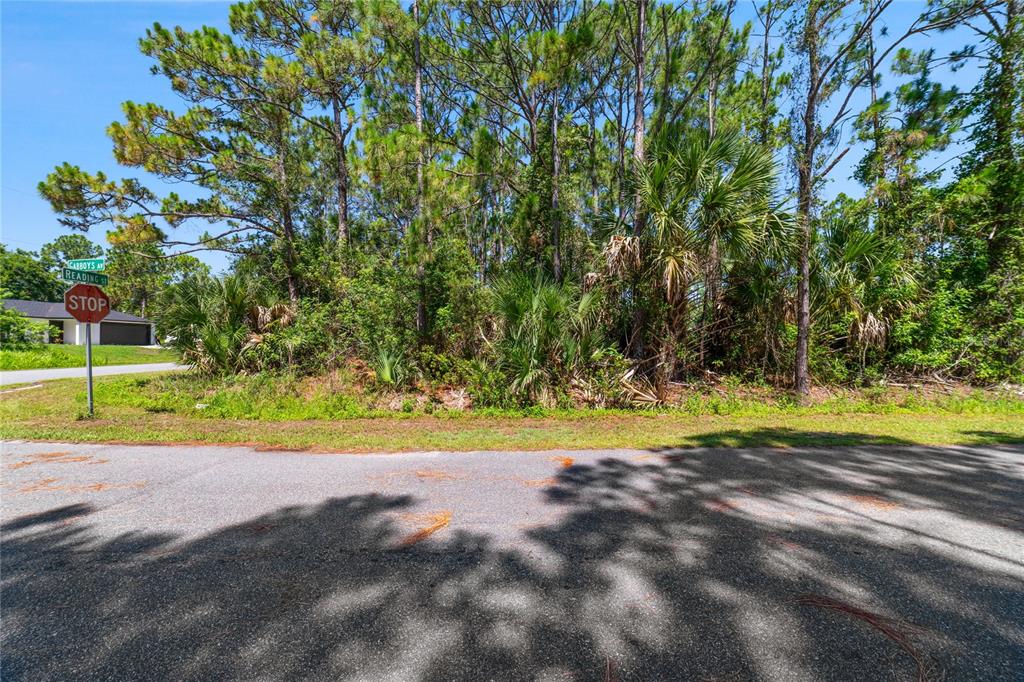 A stop sign stands at the corner of a wooded, undeveloped residential lot — GABBOYS AVENUE SE, PALM BAY, FL