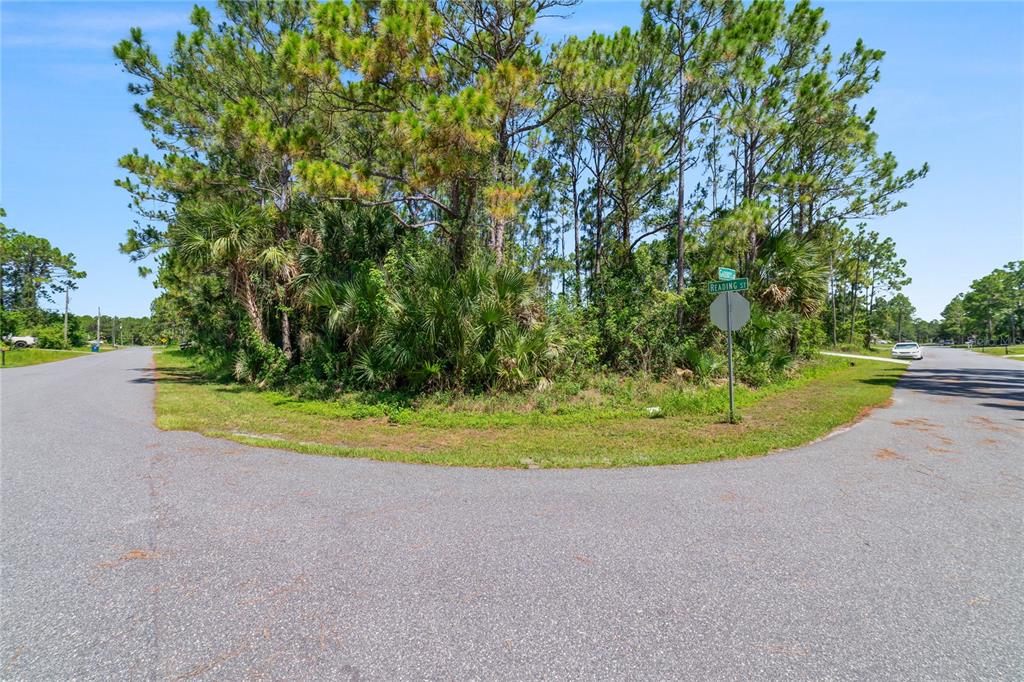 A corner lot with trees and vegetation at the intersection of two paved roads — GABBOYS AVENUE SE, PALM BAY, FL