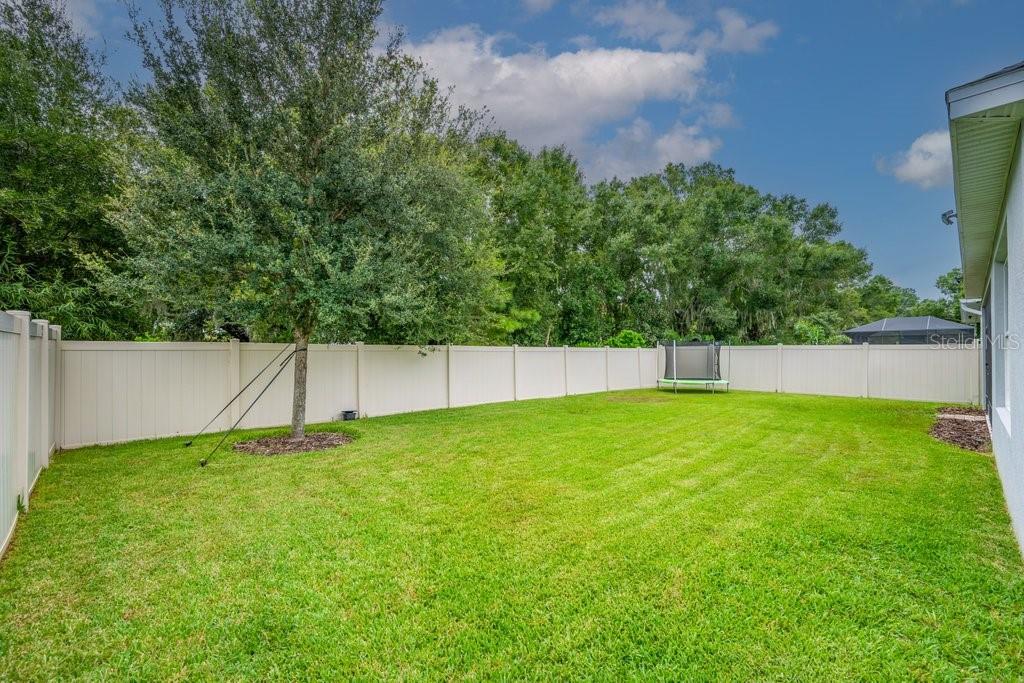 A grassy backyard features a tree, a small trampoline, and a white vinyl privacy fence — 17651 BRIGHT WHEAT DRIVE, LITHIA, FL