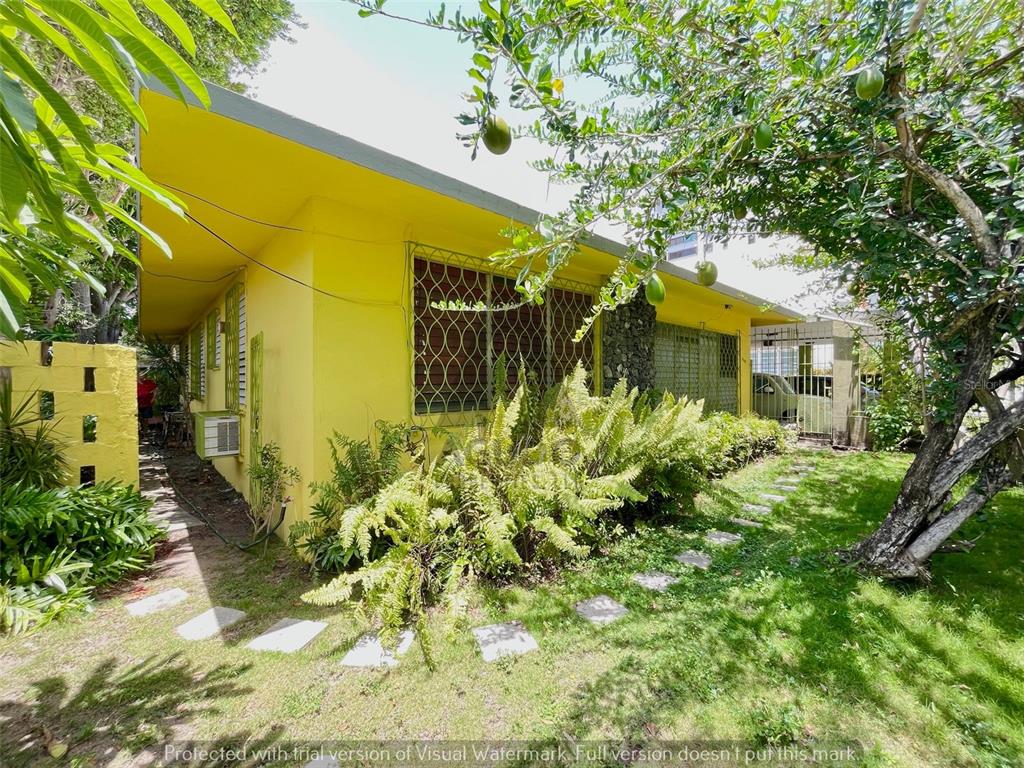 2388 LAUREL ST. PUNTA LAS MARIAS STREET