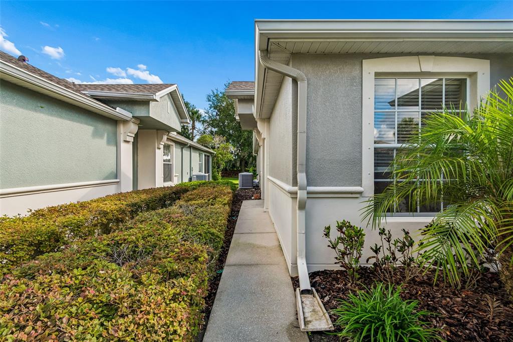 A concrete walkway runs between the side of a house and a manicured hedge — 10448 48TH COURT E, PARRISH, FL