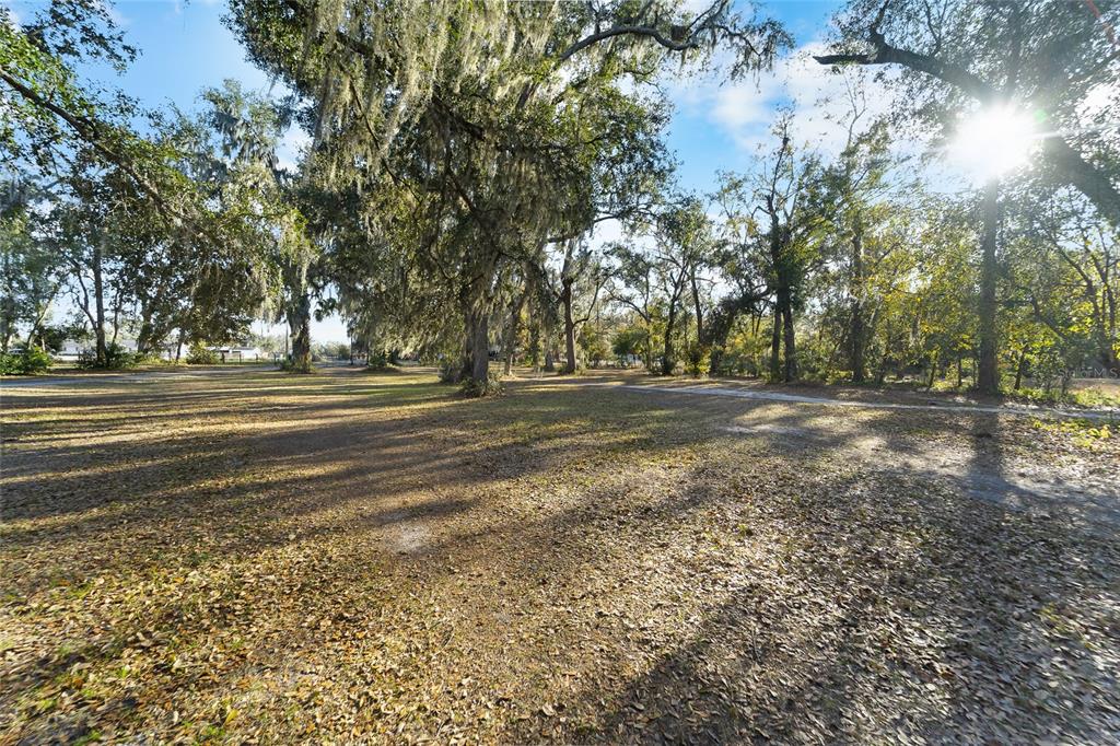3007 OWLS NEST LANE