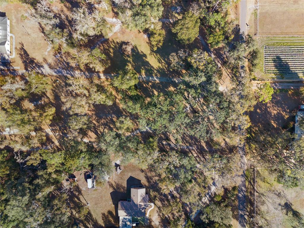 An aerial view shows a house surrounded by trees, a dirt driveway, and nearby farmland — 3007 OWLS NEST LANE, PLANT CITY, FL
