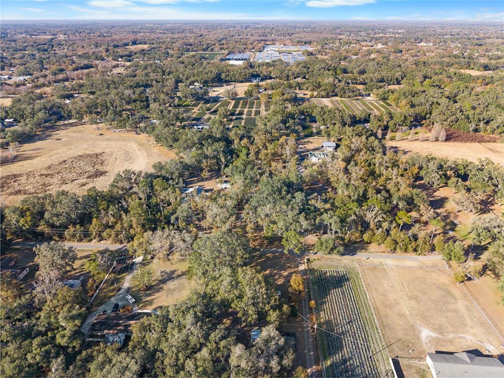 An aerial view shows a rural property with houses, wooded areas, and agricultural fields — 3007 OWLS NEST LANE, PLANT CITY, FL