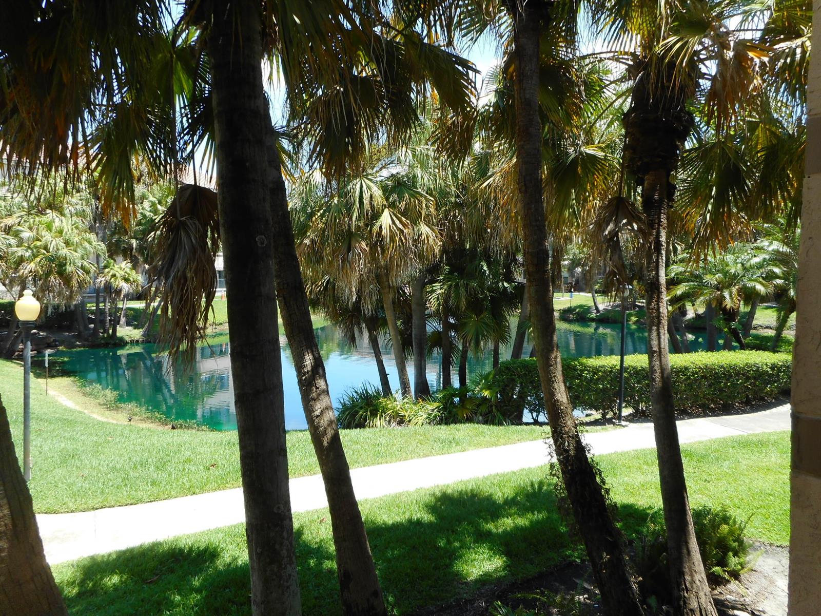 A view of a pond and palm trees from a shaded outdoor patio area — 2900 S University Drive # 9210, Davie FL 33328, DAVIE, FL