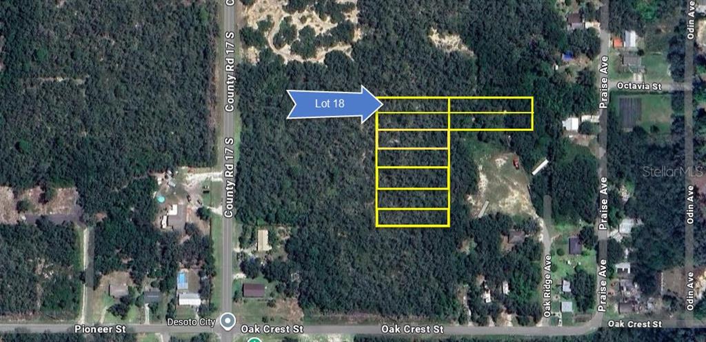 This aerial map shows a highlighted rectangular land parcel located in a wooded area — 6101 OAK RIDGE AVENUE LOT 18, SEBRING, FL
