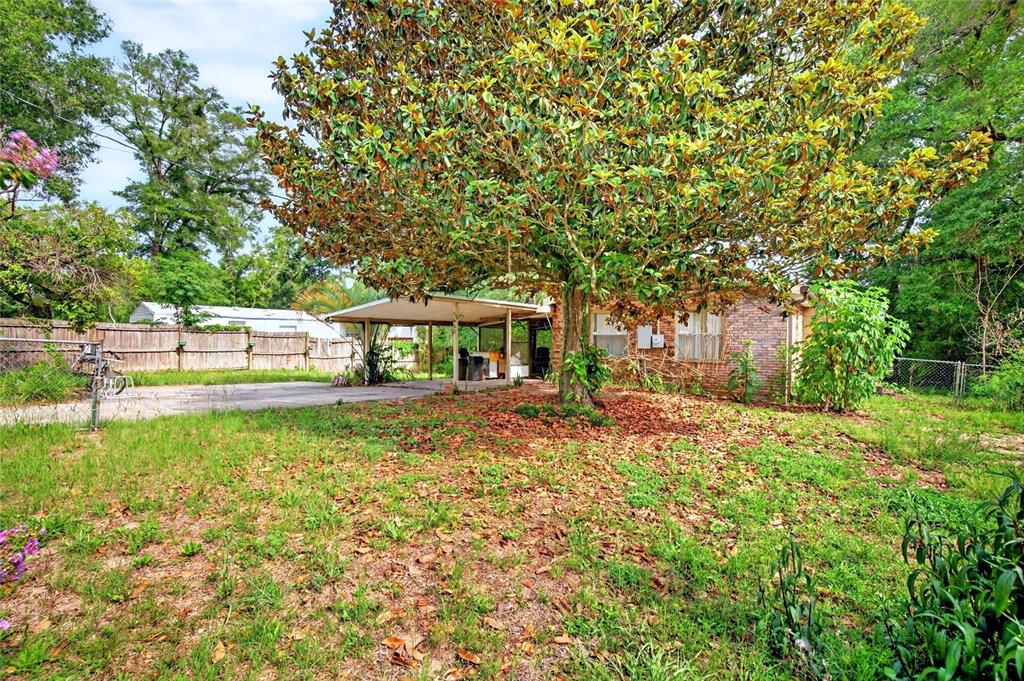 A brick house with a carport sits behind a large tree in a grassy yard — 3660 SE 139TH LANE, SUMMERFIELD, FL