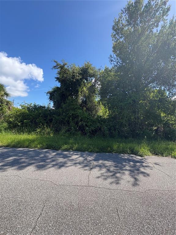A view of a vacant, overgrown lot with trees and shrubs along an asphalt road — 4128 KIRSTEN LANE, PORT CHARLOTTE, FL