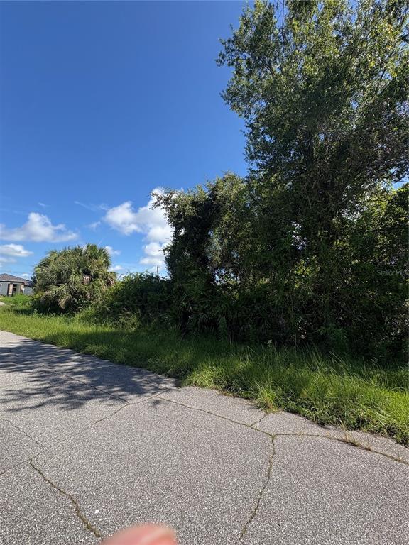 A paved road runs alongside a vacant, heavily wooded lot under a clear blue sky — 4128 KIRSTEN LANE, PORT CHARLOTTE, FL