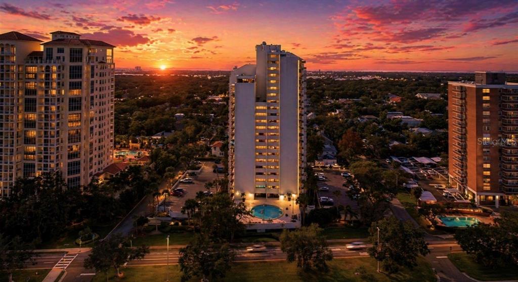 4141 BAYSHORE BOULEVARD UNIT 606