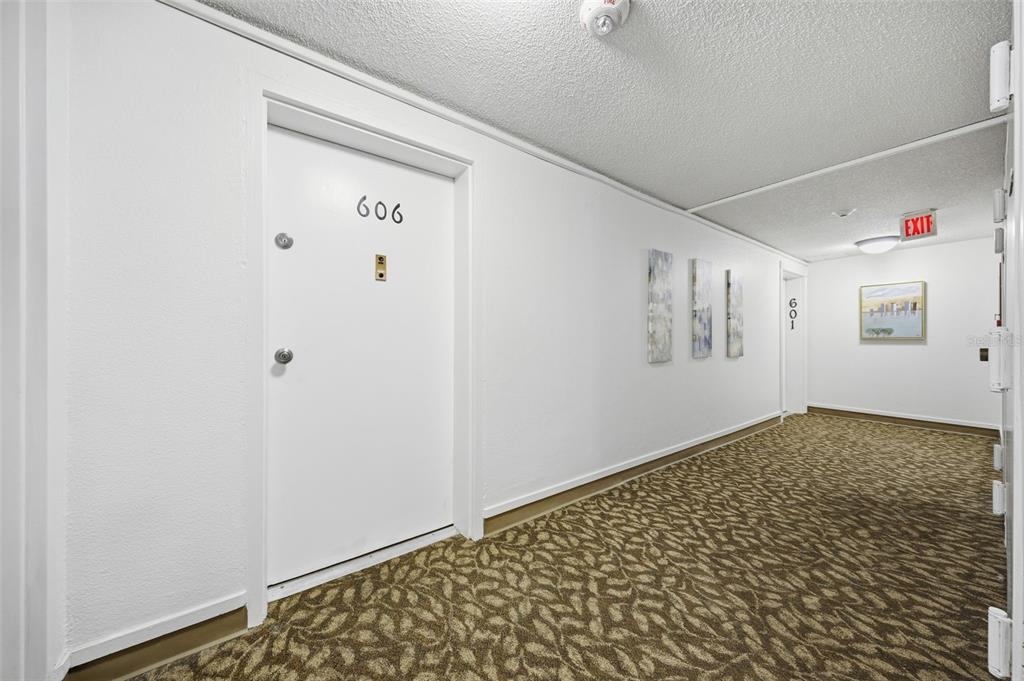 A white apartment hallway features a patterned carpet, two numbered doors, and wall art — 4141 BAYSHORE BOULEVARD UNIT 606, TAMPA, FL