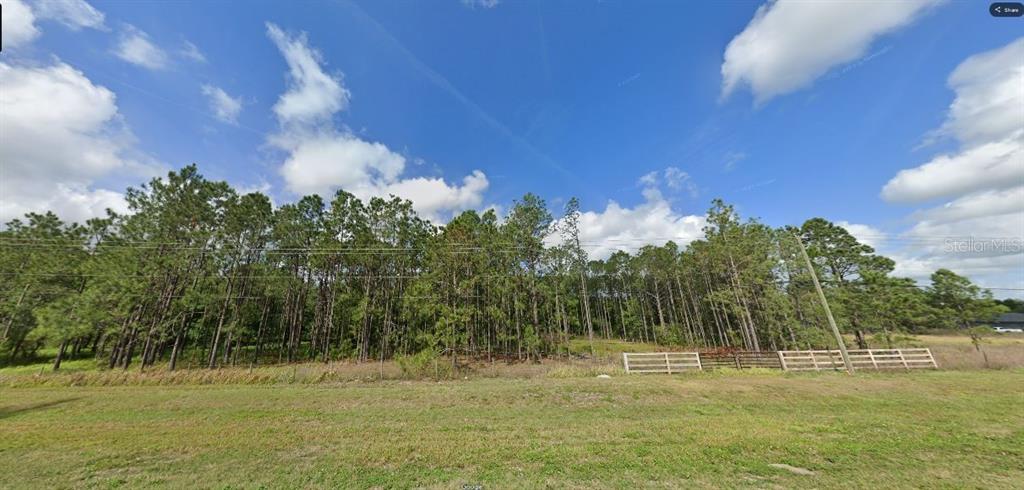 A grassy field sits in front of a dense line of pine trees under a sky — COMMONWEALTH AVE N, POLK CITY, FL