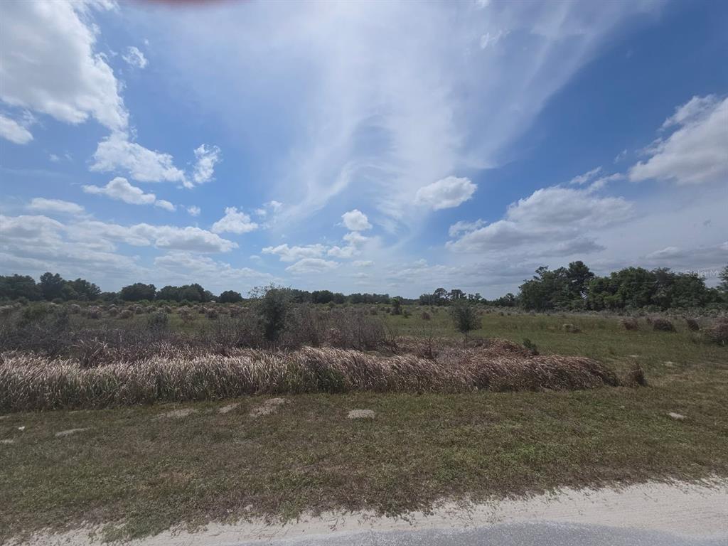 A wide, grassy, undeveloped lot under a bright blue sky with scattered clouds — 0 0 ARTIFACT DRIVE, ZEPHYRHILLS, FL