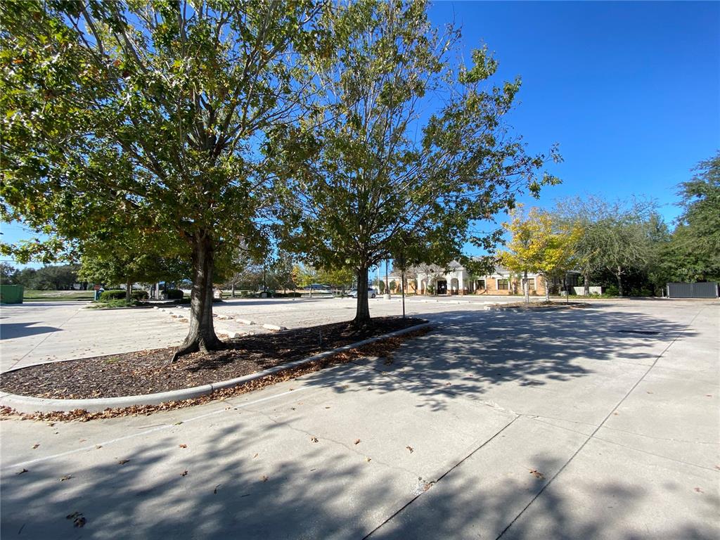 A paved parking lot features two large trees in a landscaped island under a blue sky — 566 OCOEE COMMERCE PARKWAY, OCOEE, FL