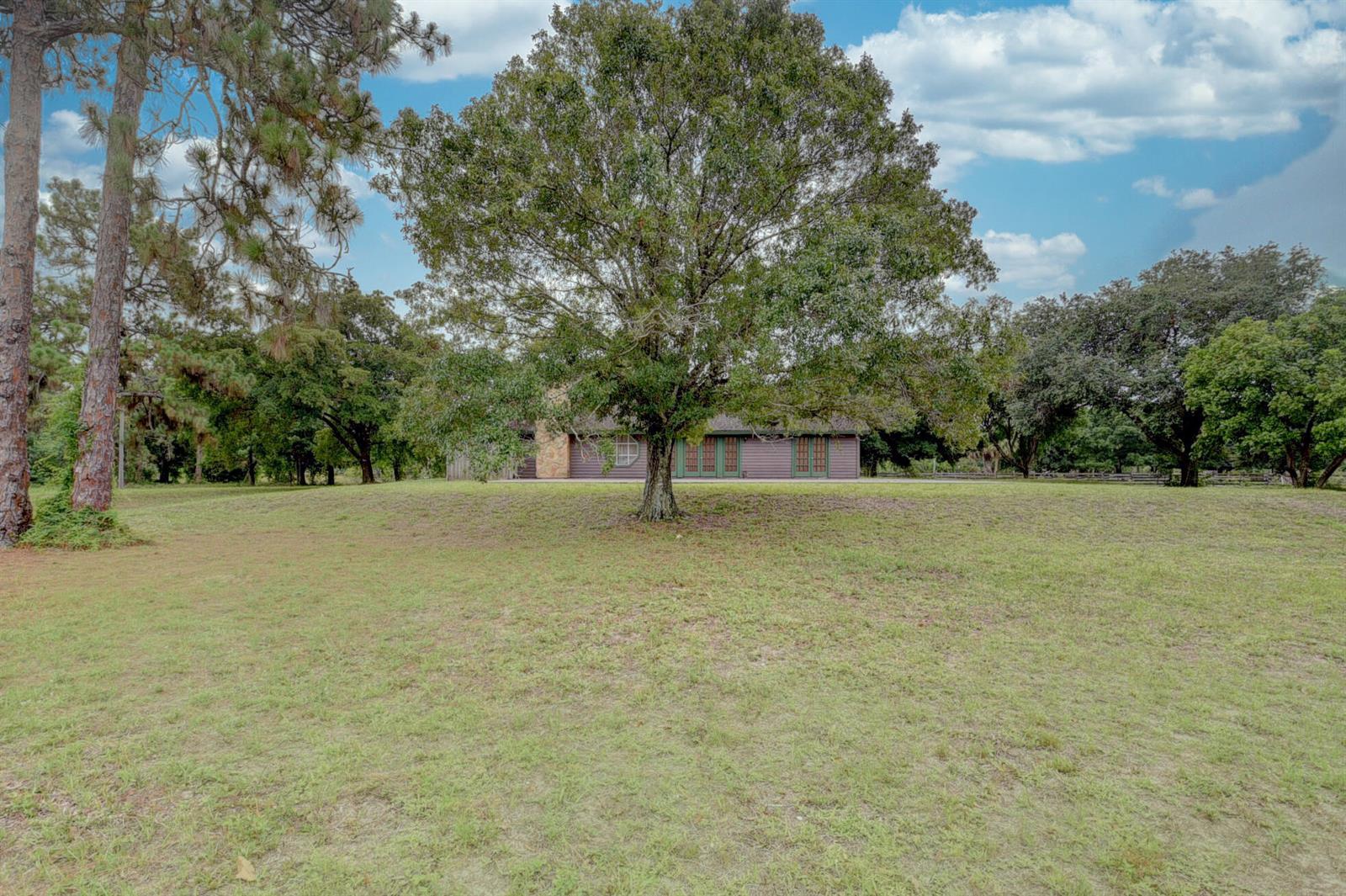 A large tree stands in the foreground of a grassy yard before a brown house — 19153 Eagles Way Court, Loxahatchee FL 33470, LOXAHATCHEE, FL