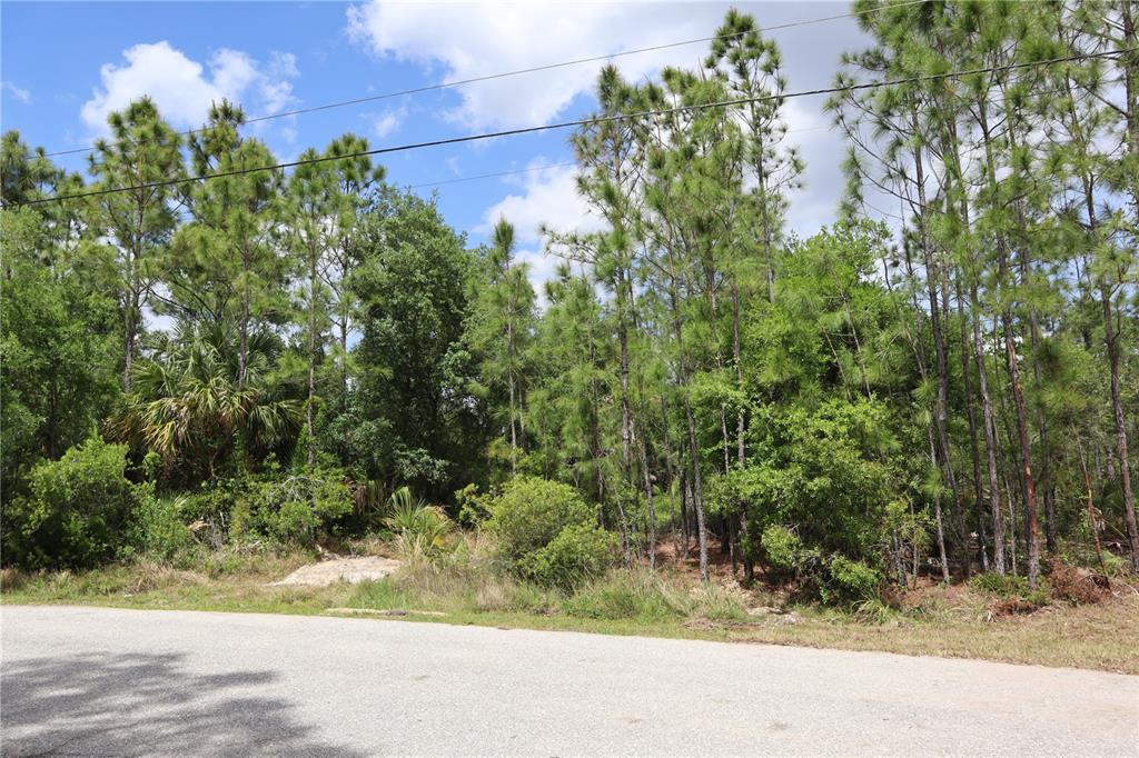 A paved road runs in front of a wooded lot with pine trees and brush — LACOCO STREET, NORTH PORT, FL