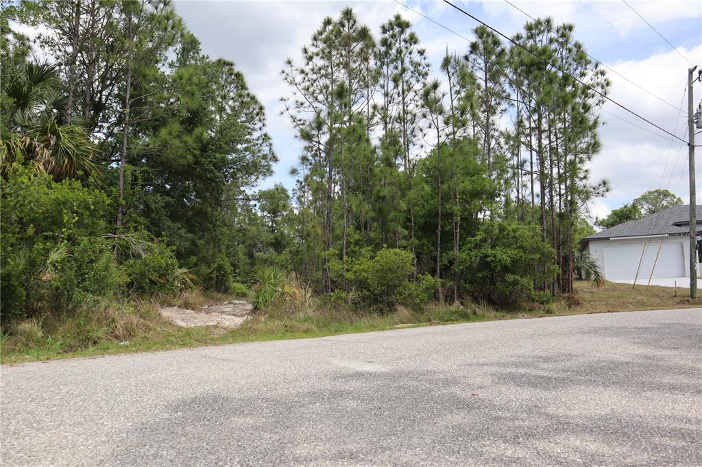 A vacant, wooded lot sits next to a house with a white garage — LACOCO STREET, NORTH PORT, FL