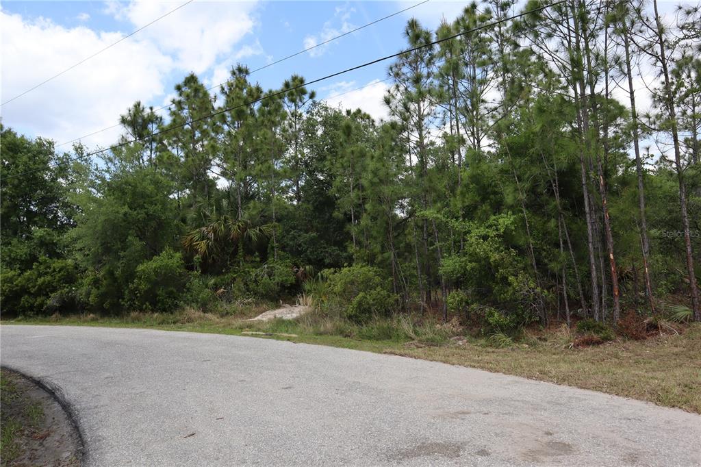 A paved road curves in front of a densely wooded lot with tall pine trees — LACOCO STREET, NORTH PORT, FL