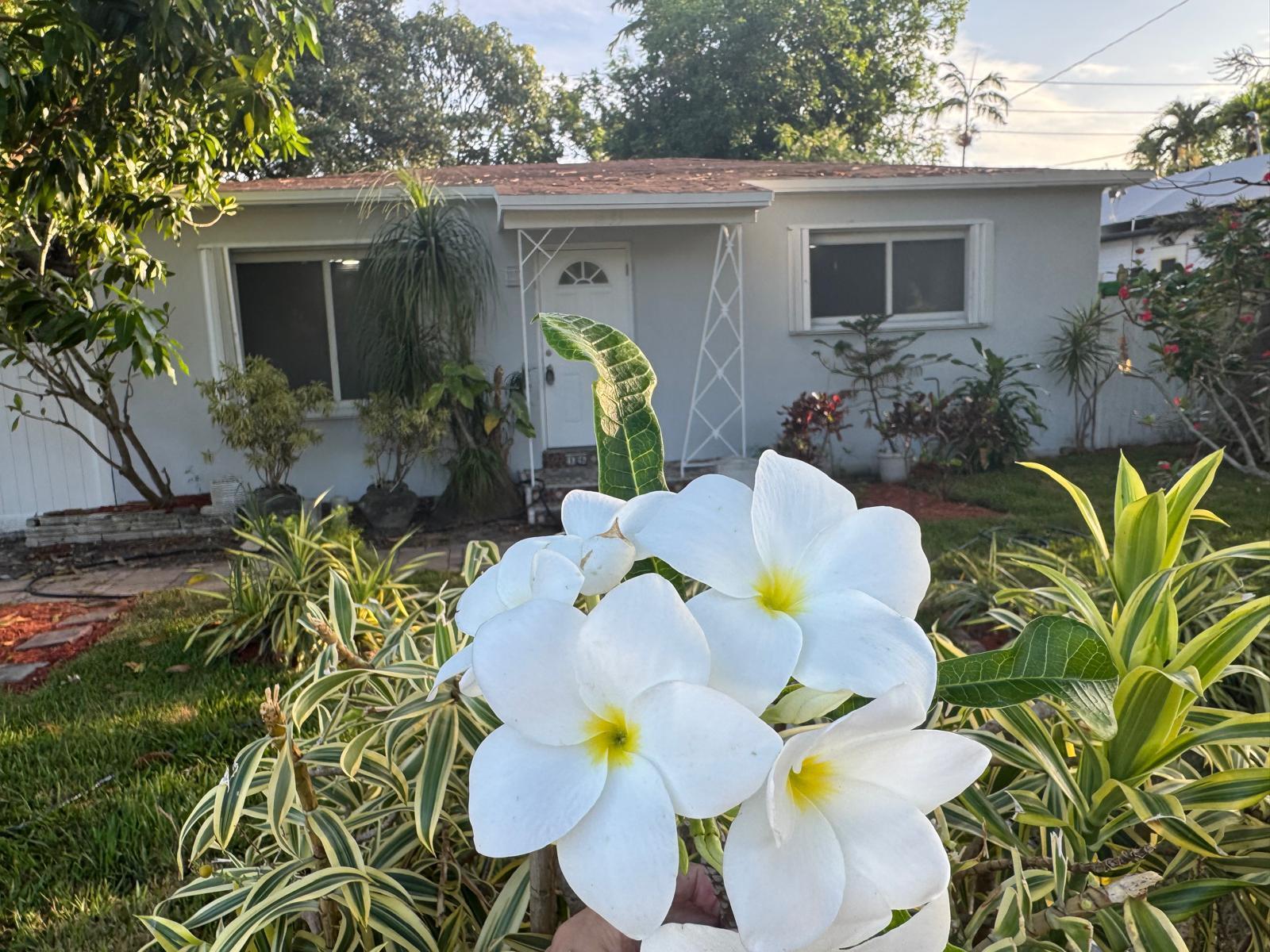 1635 NE 160th Street, North Miami Beach FL 33162
