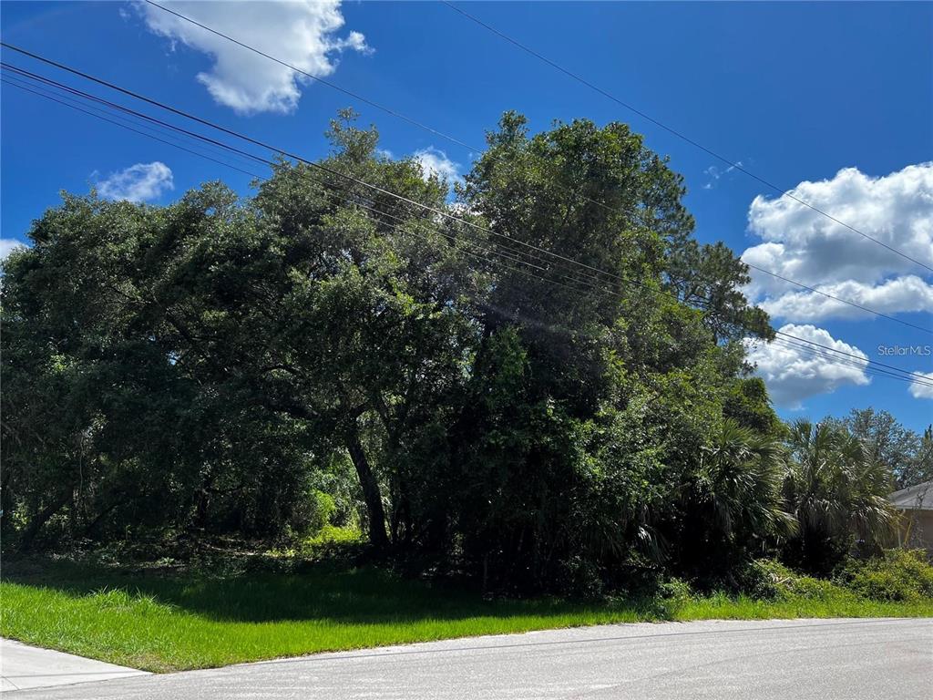 A vacant, tree-covered lot sits along a paved road under a blue sky — WALLER ROAD, NORTH PORT, FL