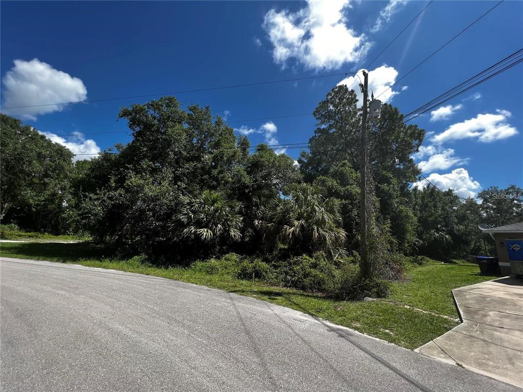 A paved road curves past a vacant, wooded lot with dense trees and utility poles — WALLER ROAD, NORTH PORT, FL