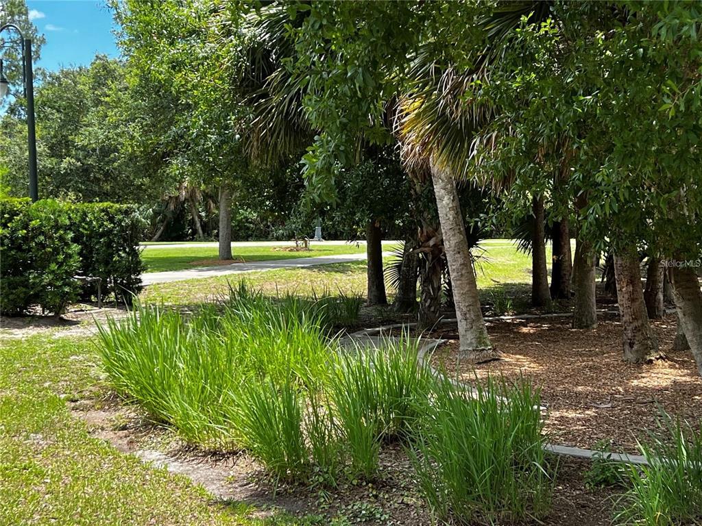 A grassy yard with a paved path, palm trees, and a row of ornamental grasses — WALLER ROAD, NORTH PORT, FL