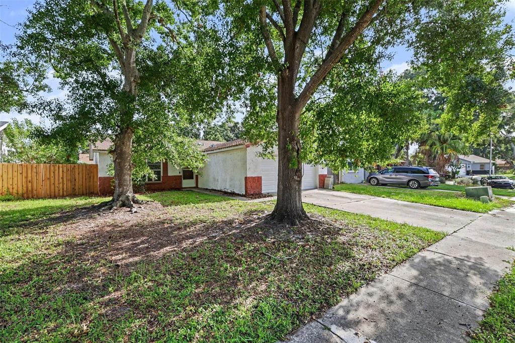 An empty living room features white walls, wood-look flooring, a ceiling fan, and a front door — 1916 HUDSON COURT, OLDSMAR, FL