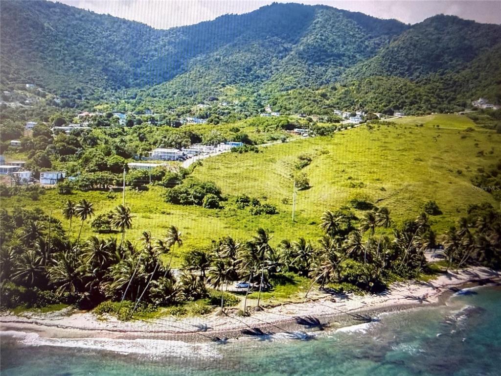 An aerial view shows a grassy coastal lot with palm trees bordering a sandy beach — 20 HWY 7758, PATILLAS, PR