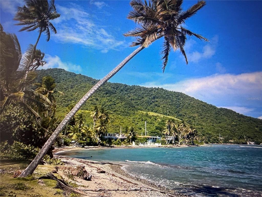 A sandy beach with palm trees leads to a coastal landscape with green mountains — 20 HWY 7758, PATILLAS, PR