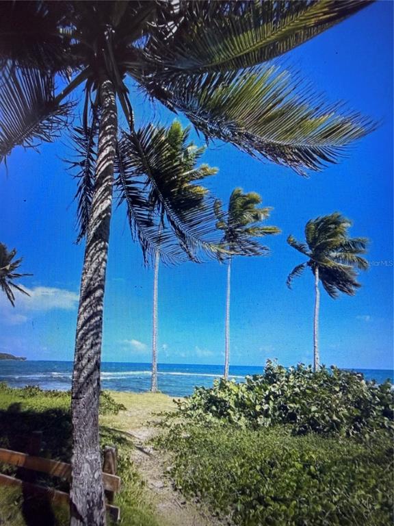 A view of the ocean and beach framed by several tall palm trees — 20 HWY 7758, PATILLAS, PR