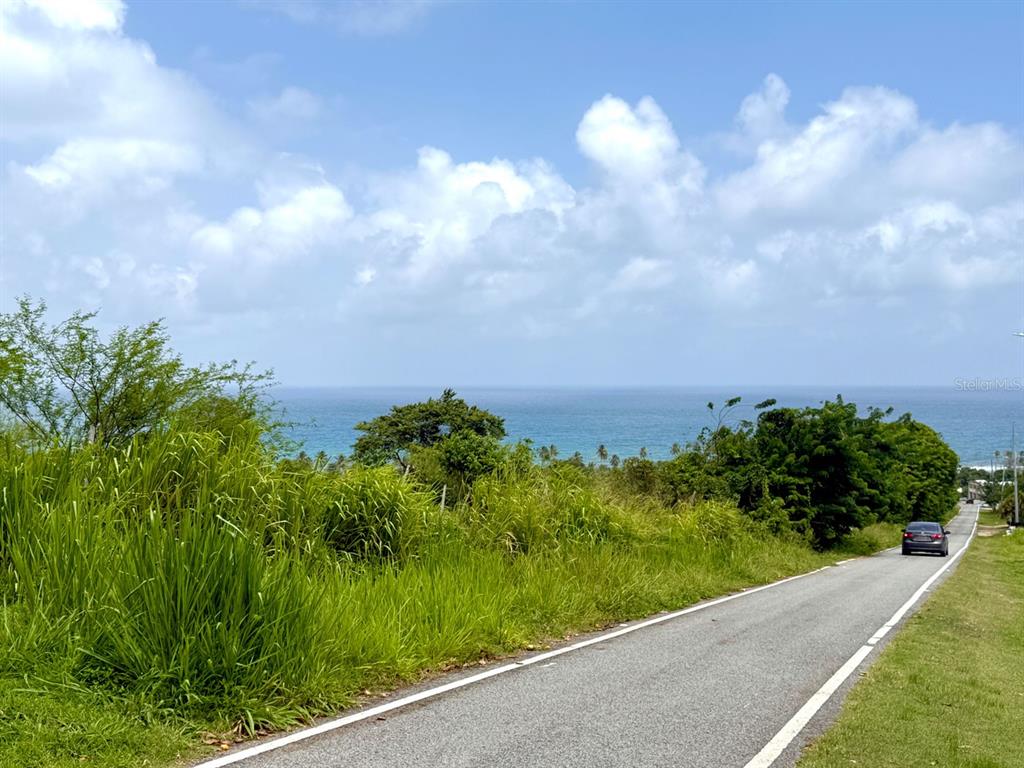 A paved road leads toward a coastal view with lush greenery under a cloudy sky — 20 HWY 7758, PATILLAS, PR