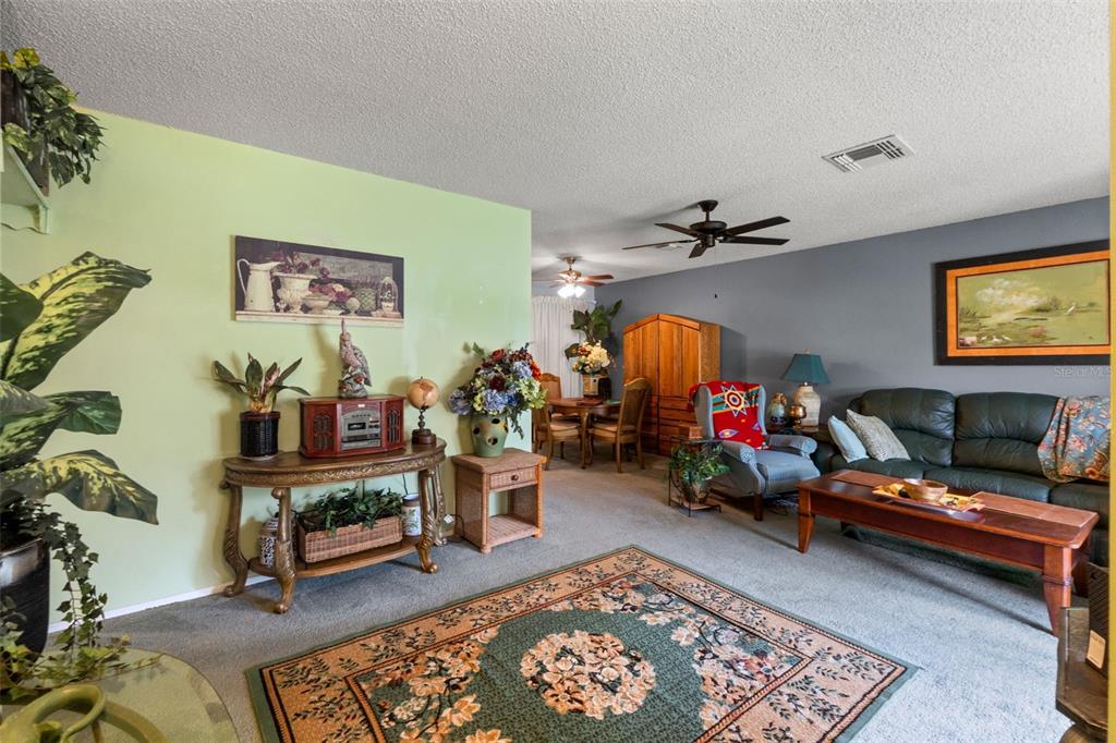 A living room features a green wall, a dark sofa, and a patterned area rug — 10541 GREEN MEADOW LANE, PORT RICHEY, FL