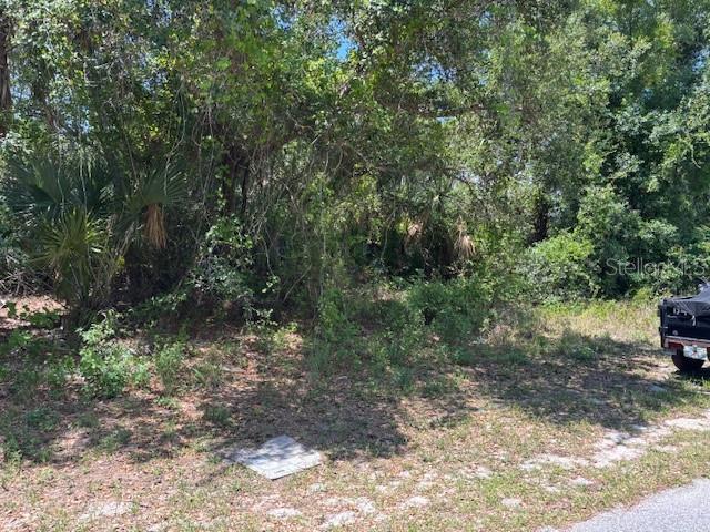 A wooded, undeveloped residential lot with a vehicle parked on the side — 18423 FREMONT AVENUE, PORT CHARLOTTE, FL