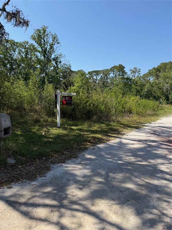 A dirt road runs alongside a vacant, wooded lot featuring a real estate sign — ELZA STREET, NEW PORT RICHEY, FL