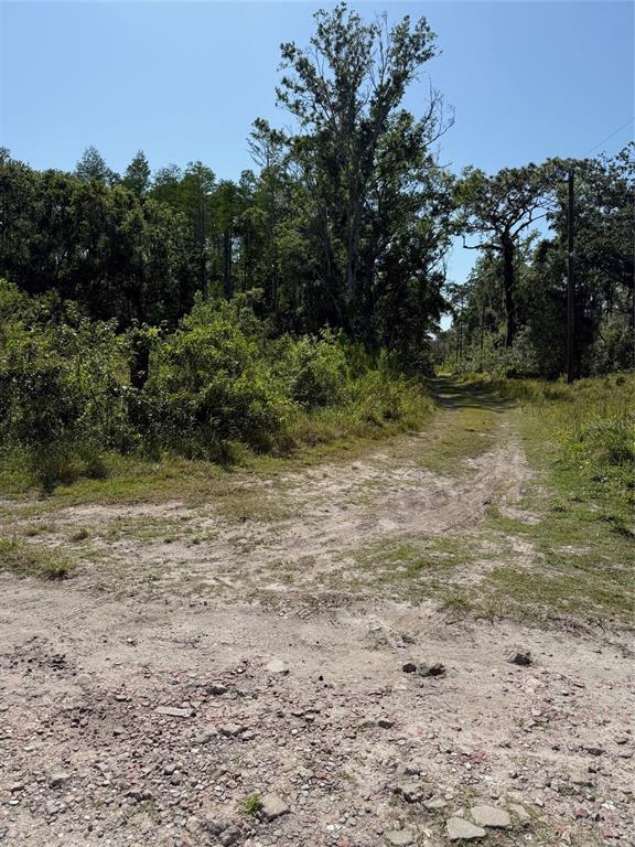A dirt path leads into a wooded area under a clear blue sky — ELZA STREET, NEW PORT RICHEY, FL