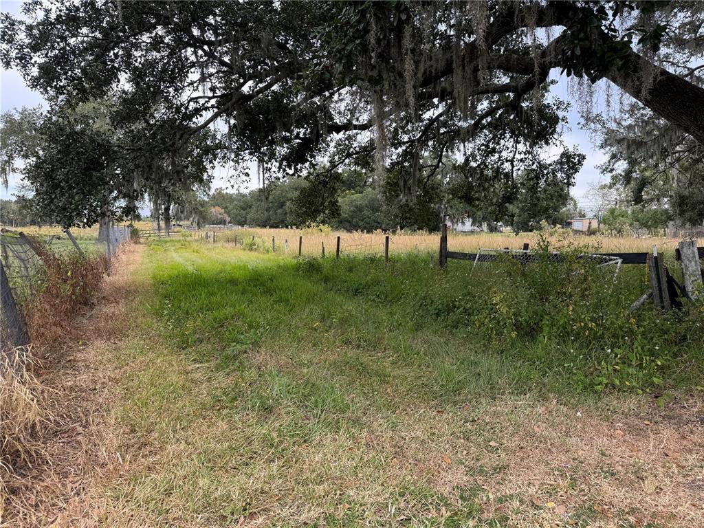 A grassy path runs alongside a wire fence beneath a large, moss-draped oak tree — 0 CASON ROAD, PLANT CITY, FL