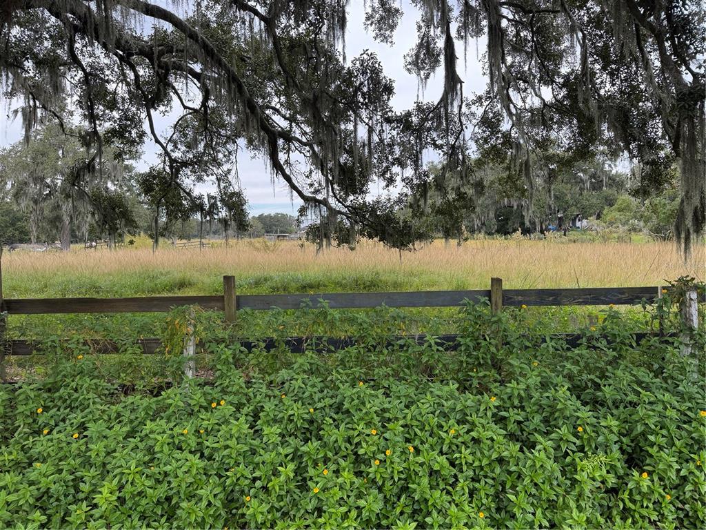 A wooden fence borders a grassy field under large trees draped with Spanish moss — 0 CASON ROAD, PLANT CITY, FL