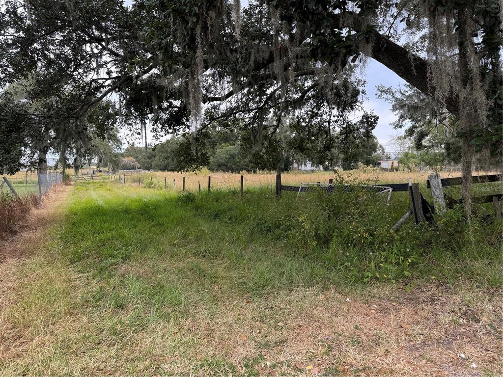 A grassy field bordered by a wooden fence and large trees with Spanish moss — 0 CASON ROAD, PLANT CITY, FL