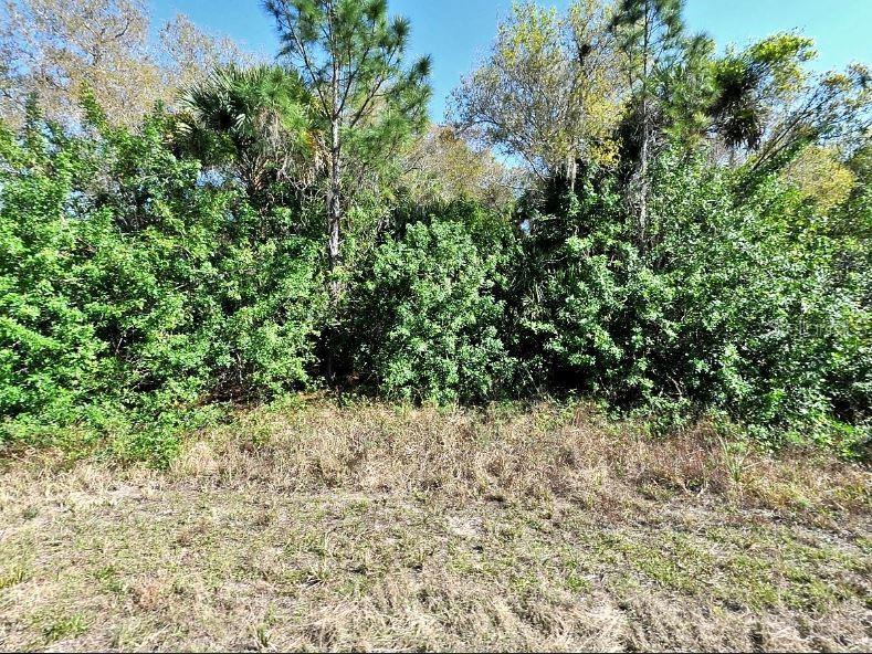 A grassy lot is bordered by a dense line of trees and shrubs — NOME AVENUE, NORTH PORT, FL