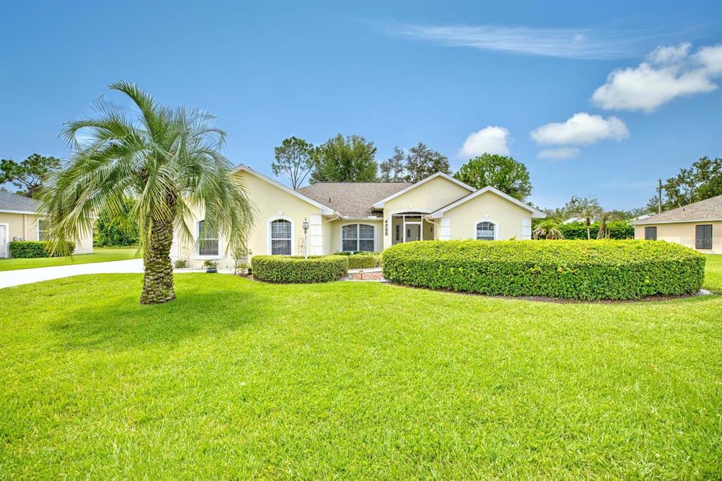 A single-story house with a palm tree and a large manicured hedge in the yard — 4253 CREMONA DRIVE, SEBRING, FL