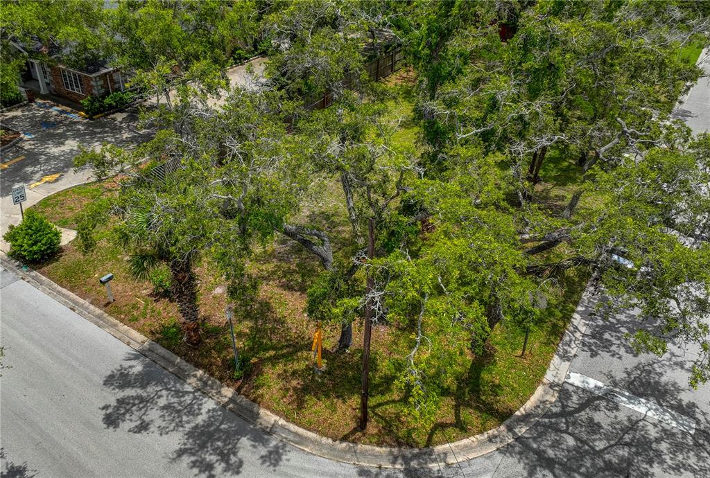 An aerial view of a corner lot with mature trees and a paved street — 1001 PINELLAS STREET, CLEARWATER, FL