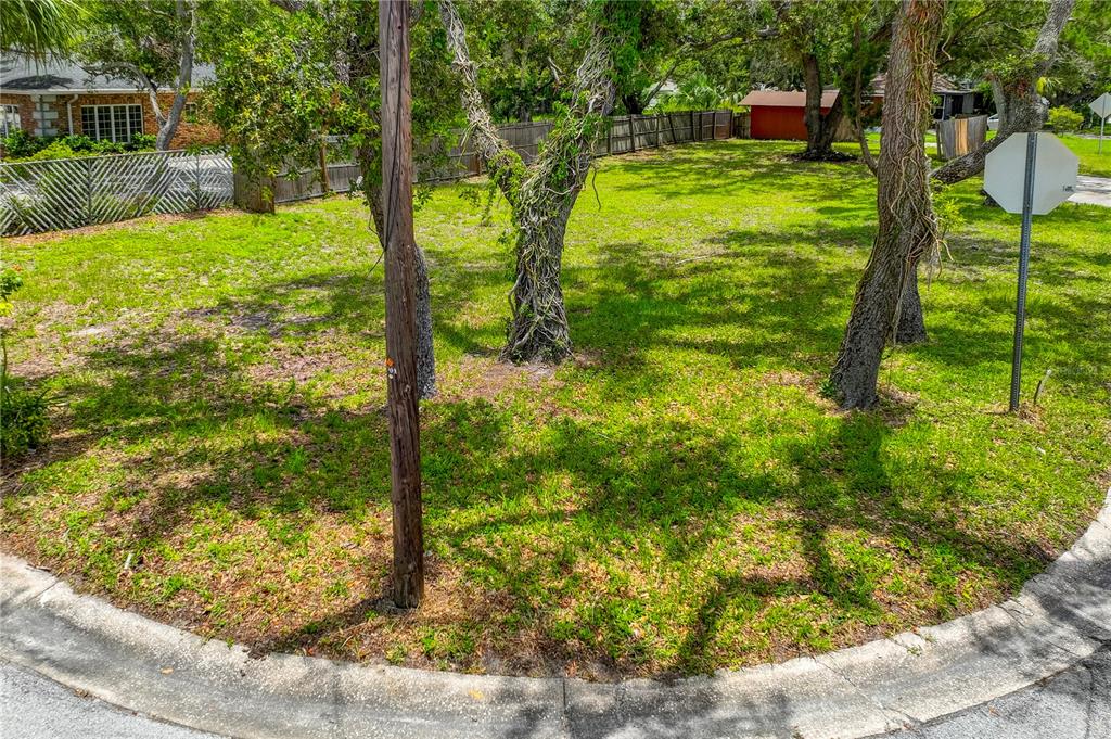 A grassy, tree-filled vacant lot sits at the corner of a paved residential street — 1001 PINELLAS STREET, CLEARWATER, FL