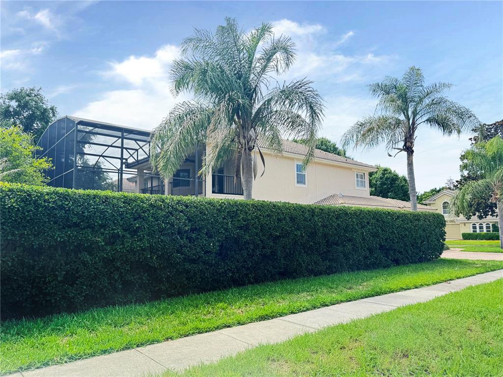 A two-story house with a screened-in pool enclosure is partially obscured by a tall hedge — 173 CALLIOPE STREET, OCOEE, FL