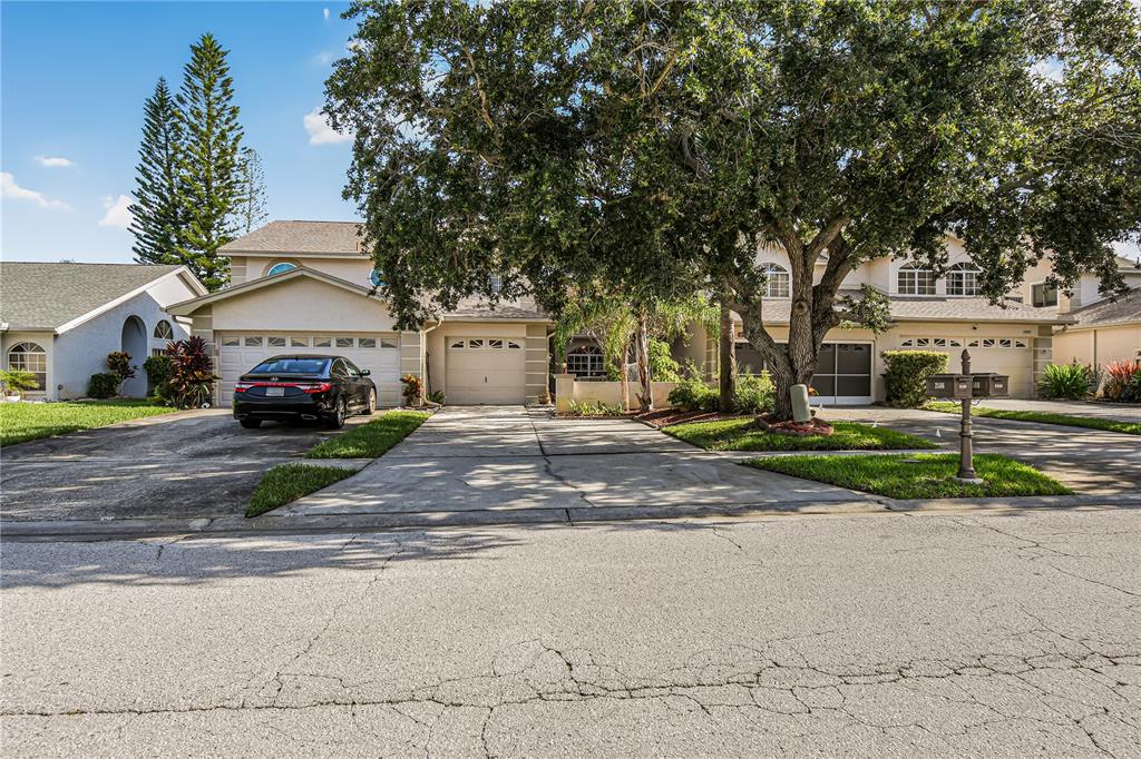 A two-story suburban house with a concrete driveway, a large tree, and a parked car — 2586 PINE COVE LANE, CLEARWATER, FL