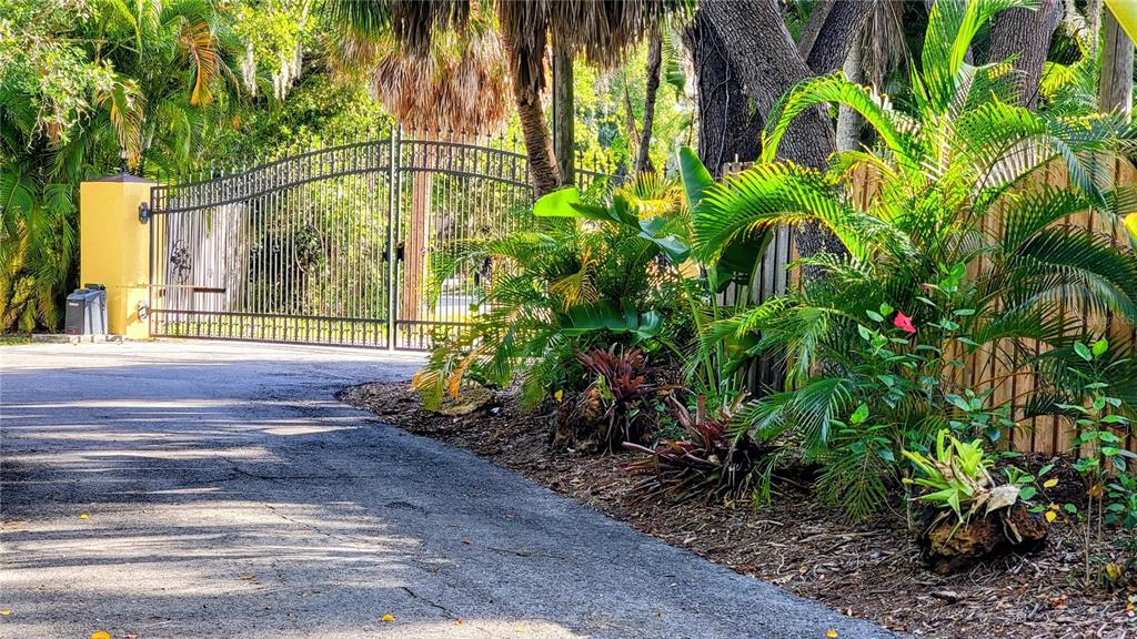 A paved driveway leads to a large metal gate flanked by lush tropical landscaping — 3348 ALAMO LANE, SARASOTA, FL