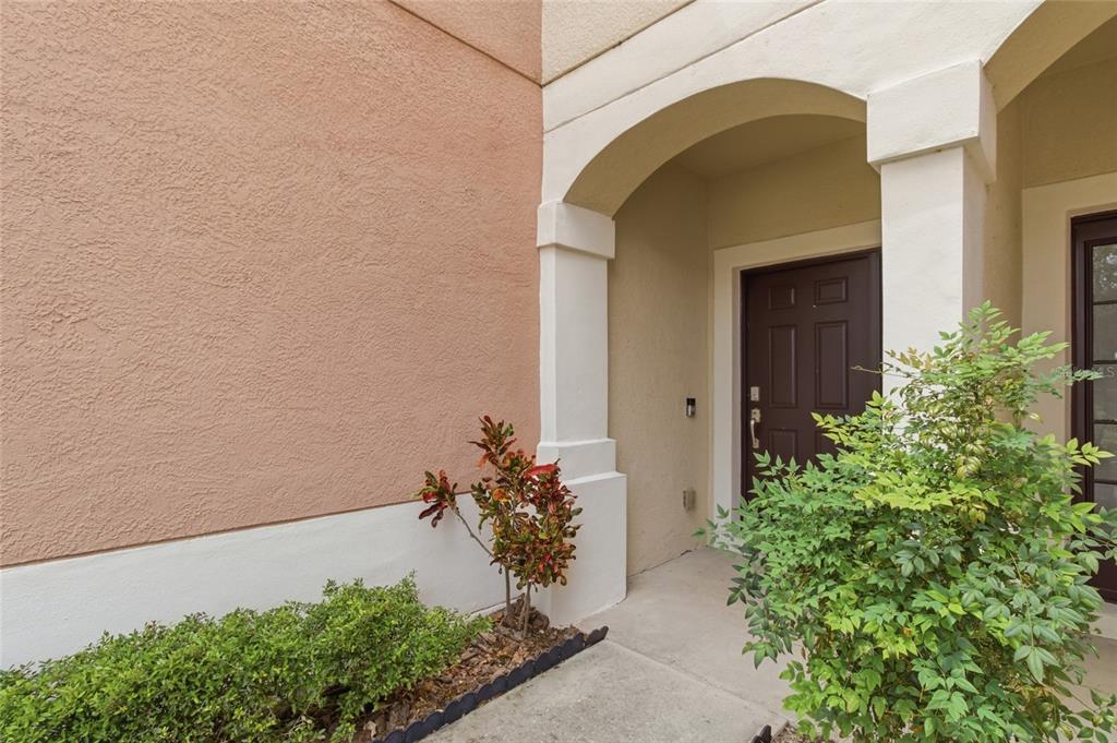The exterior entrance features a dark brown door under a covered archway with stucco walls — 26531 CHIMNEY SPIRE LANE, WESLEY CHAPEL, FL