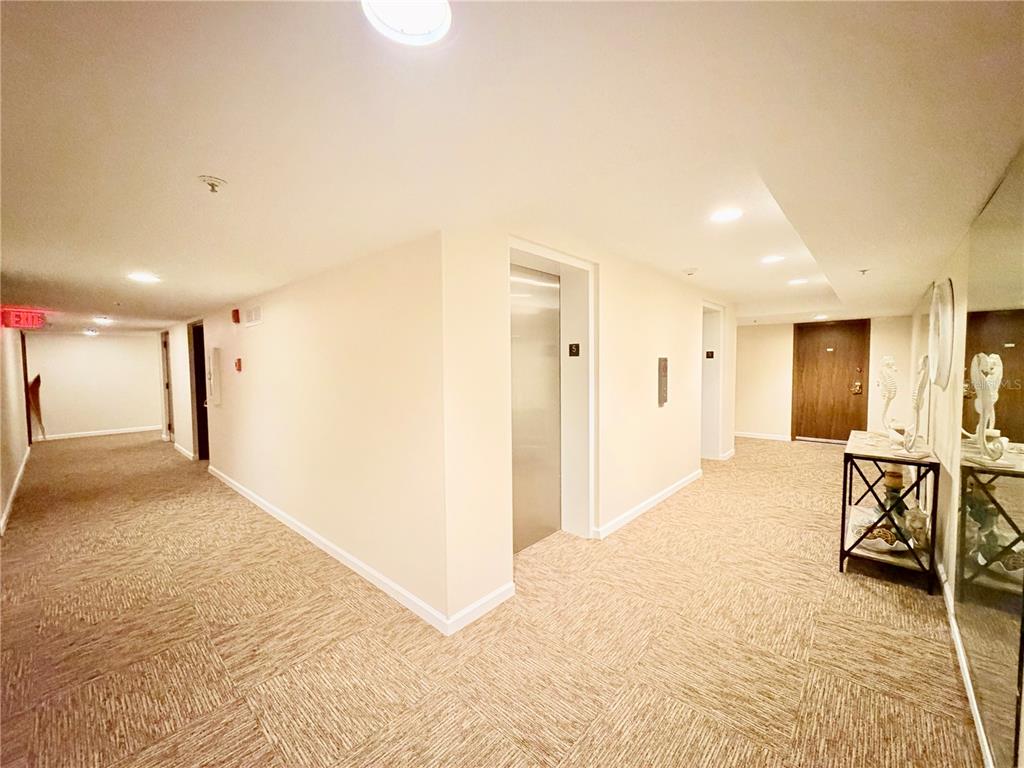 A carpeted apartment building hallway features an elevator, a wooden door, and a console table — 7430 SUNSHINE SKYWAY LANE S UNIT 501, ST PETERSBURG, FL