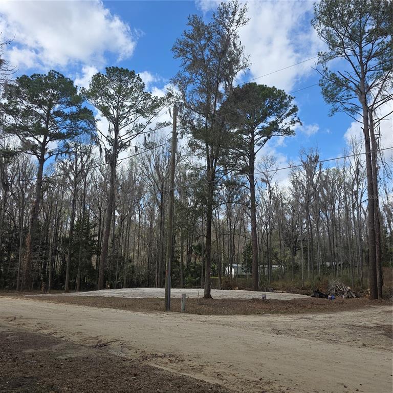 A cleared, sandy lot sits in a wooded area next to a dirt road — SW 11TH STREET RD, OCALA, FL