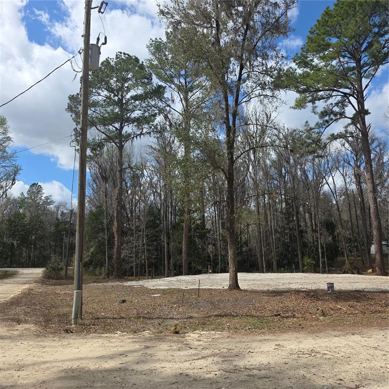 A cleared, sandy lot is surrounded by tall pine trees next to a dirt road — SW 11TH STREET RD, OCALA, FL