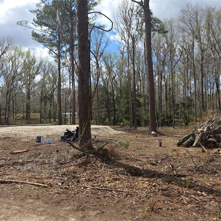 A cleared, sandy lot with tall pine trees and a pile of cut logs — SW 11TH STREET RD, OCALA, FL